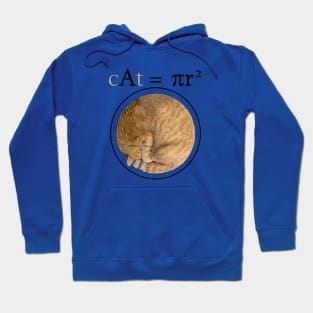 cAt = πr^2 Hoodie